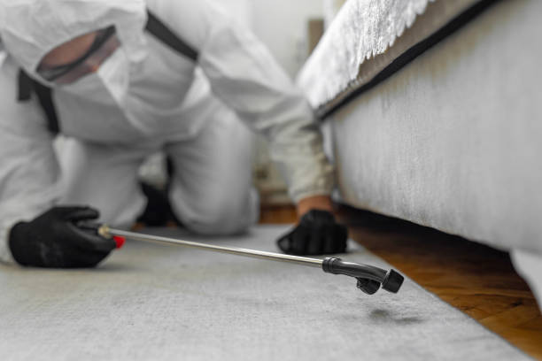 Professional Termite Control technician working in Trenton, MI