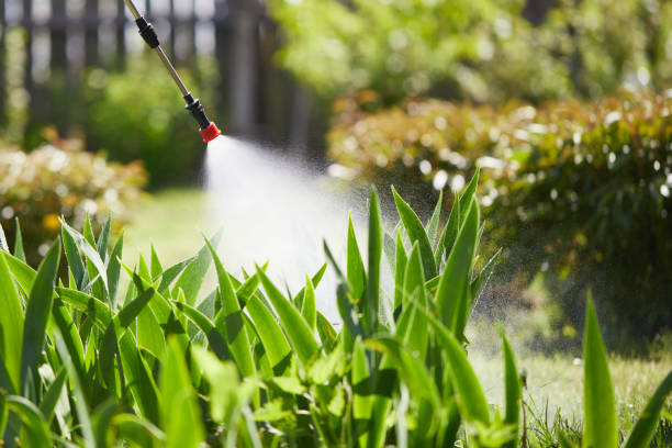 24/7 Emergency Termite Control experts in Trenton, MI