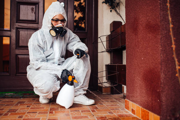 Reliable Termite Control contractor in Trenton, MI by Nex Pest Control