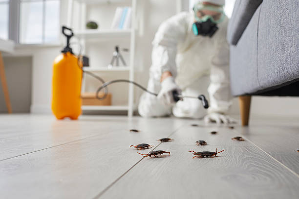 Trusted Cockroach Control service in Trenton, MI - Nex Pest Control